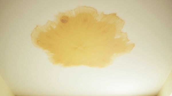 Comment traiter les taches jaunes au plafond de la chambre : solutions efficaces