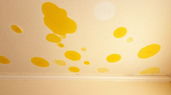 Top astuces pour éliminer les taches jaunes au plafond